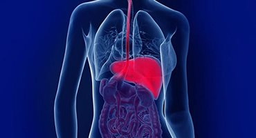 Hepatit Hastalıkları